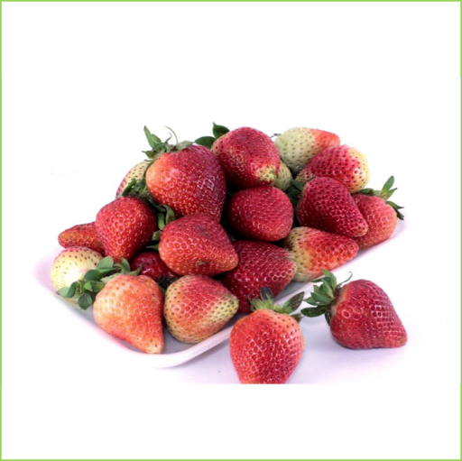 Fresas BANDEJA