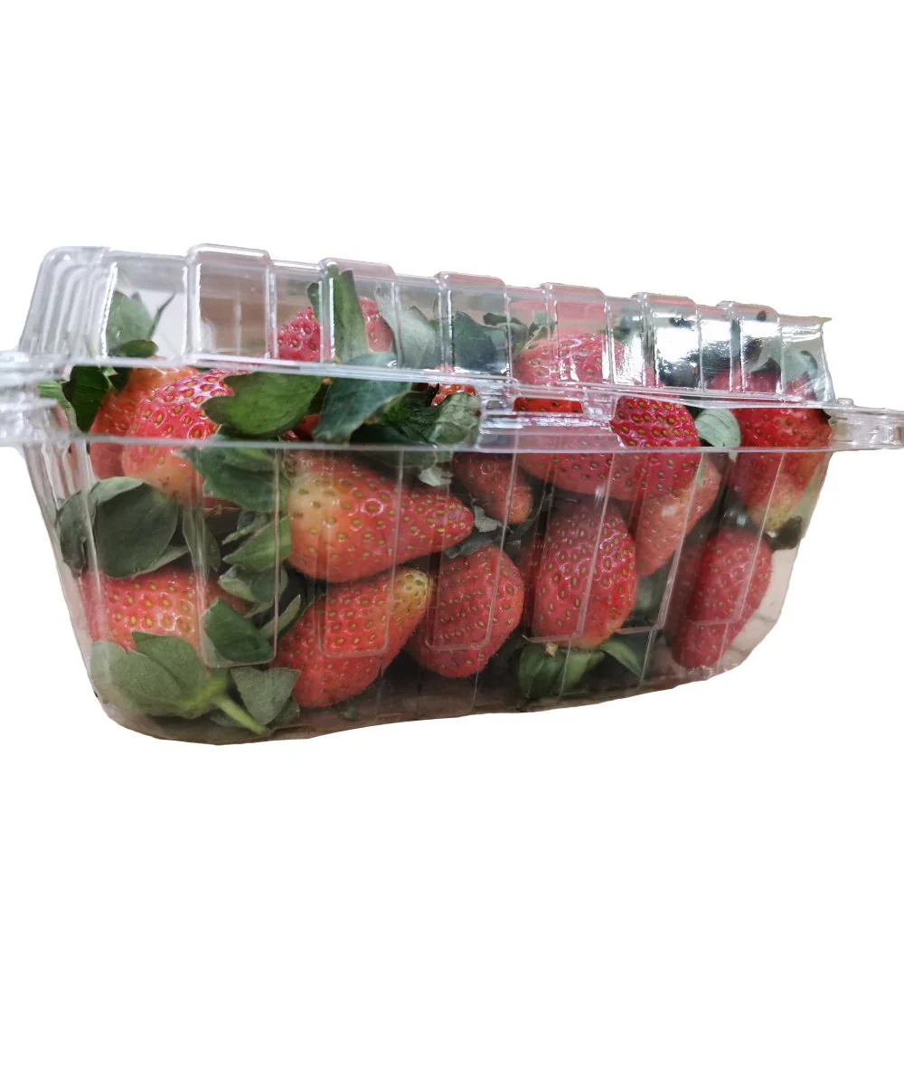 Fresas ESTUCHE PLASTICO